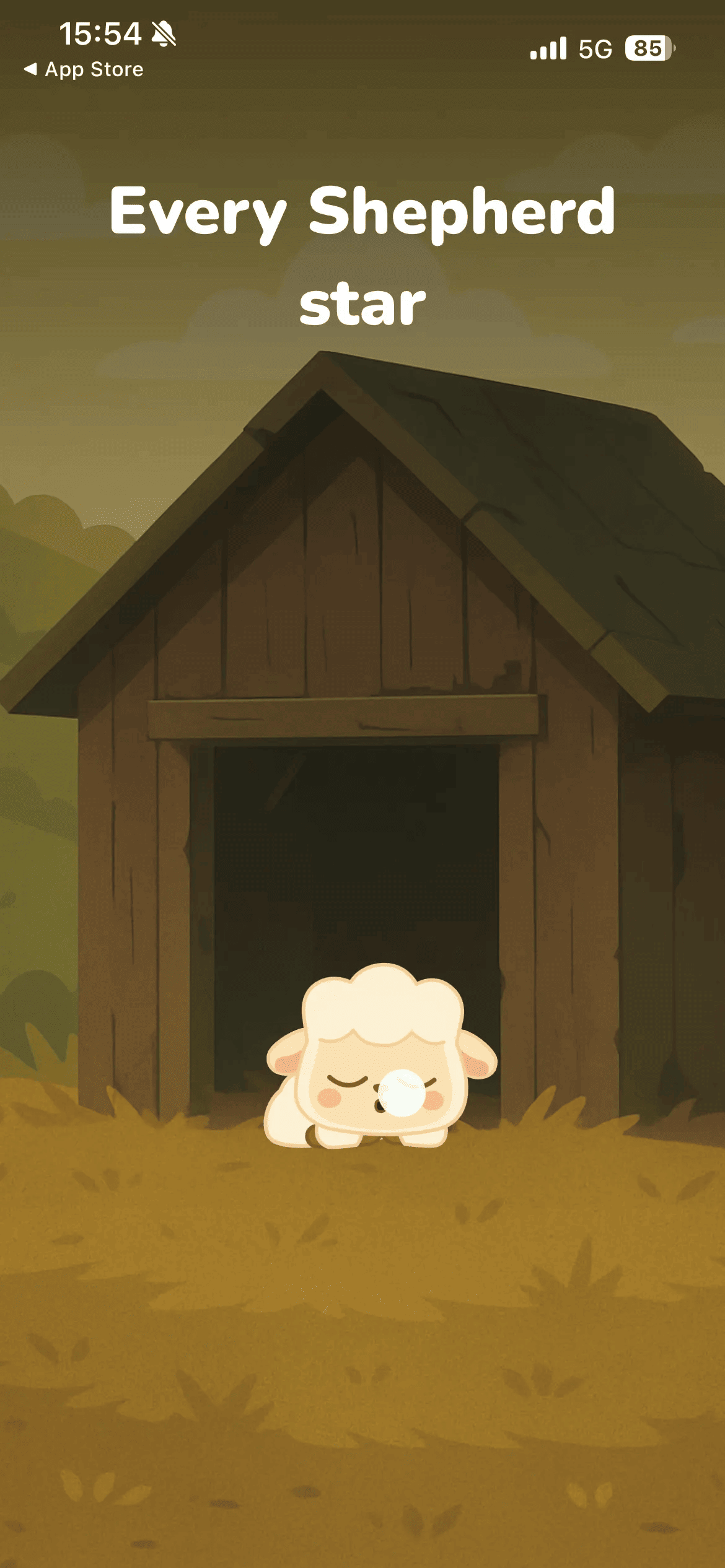 Shepherd: pantalla 1